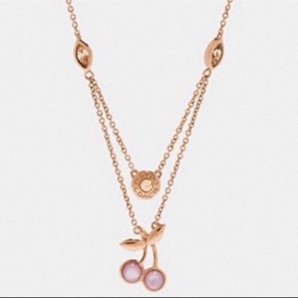 ⭐️⭐️COACH Brand New Double Layer Necklace!⭐️🍒,